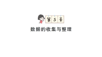 小学数学新人教版三年级下册期末第一轮复习第5天 数据的收集与整理作业课件(2026春)(放映显示答案)