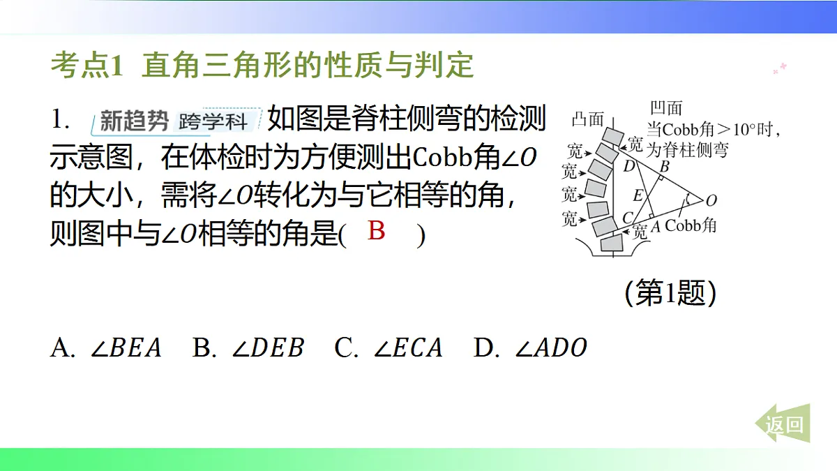 第5章 直角三角形【章末复习】-课件-数学湘教版(2024)八年级上册第2页