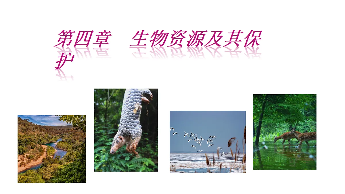 初中 生物 冀少版(2024) 七年级上册2.4生物资源及其保护 课件第1页