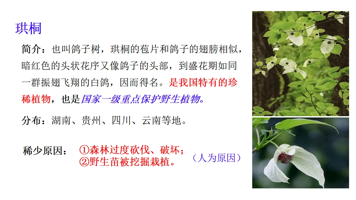 初中 生物 冀少版(2024) 七年级上册2.4生物资源及其保护 课件第7页