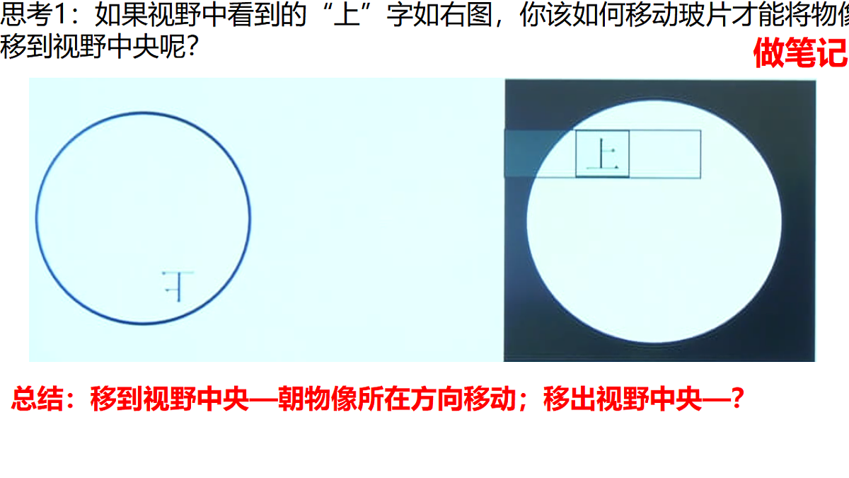 17839593第7页