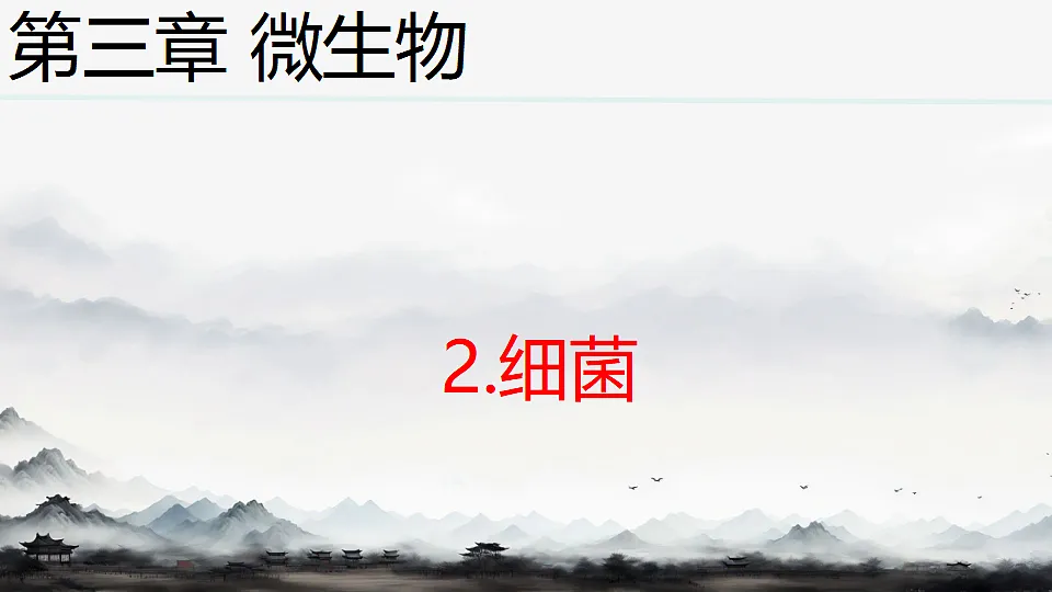 初中 生物 人教版(2024) 七年级上册2.3.2 细菌 课件第1页