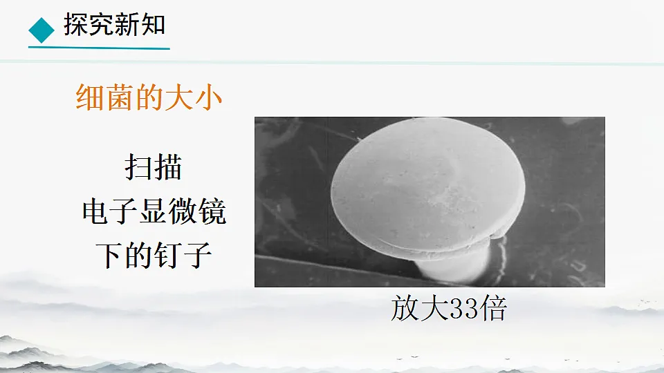 初中 生物 人教版(2024) 七年级上册2.3.2 细菌 课件第3页