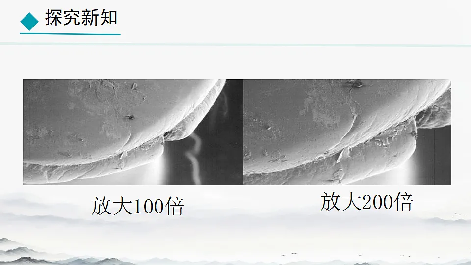 初中 生物 人教版(2024) 七年级上册2.3.2 细菌 课件第4页