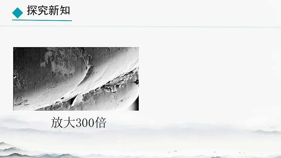 初中 生物 人教版(2024) 七年级上册2.3.2 细菌 课件第5页