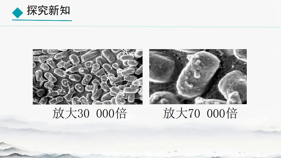 初中 生物 人教版(2024) 七年级上册2.3.2 细菌 课件第6页