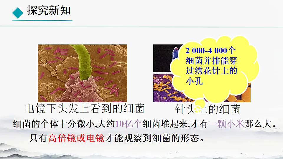 初中 生物 人教版(2024) 七年级上册2.3.2 细菌 课件第7页