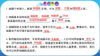 初中生物人教版（2024）七年级上册（2024）真菌评课ppt课件