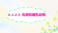 初中生物人教版（2024）七年级上册（2024）鸟和哺乳动物教课内容课件ppt