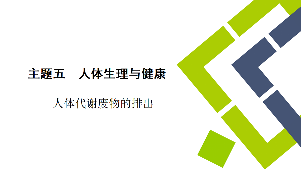 中考生物学一轮专题复习课件(人教版)5.4 人体代谢废物的排出第1页