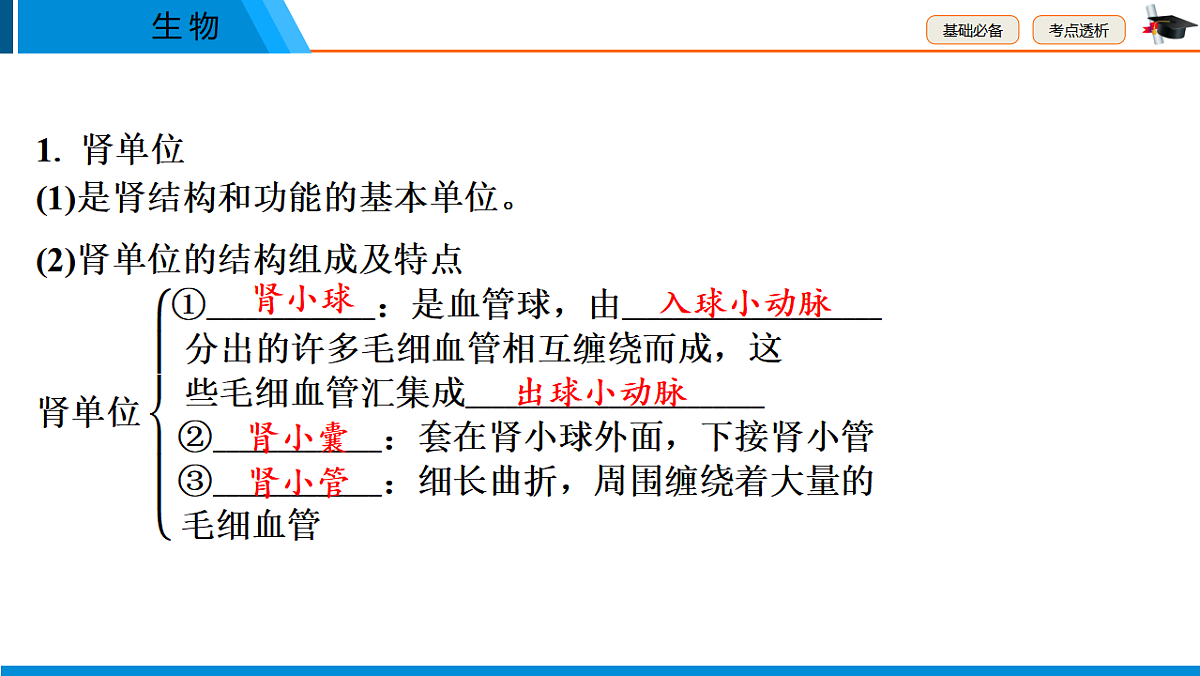 中考生物学一轮专题复习课件(人教版)5.4 人体代谢废物的排出第5页