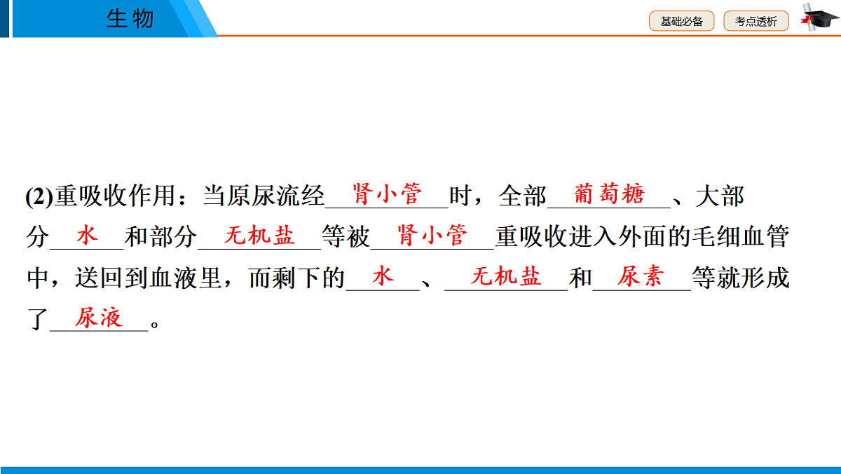 中考生物学一轮专题复习课件(人教版)5.4 人体代谢废物的排出第7页