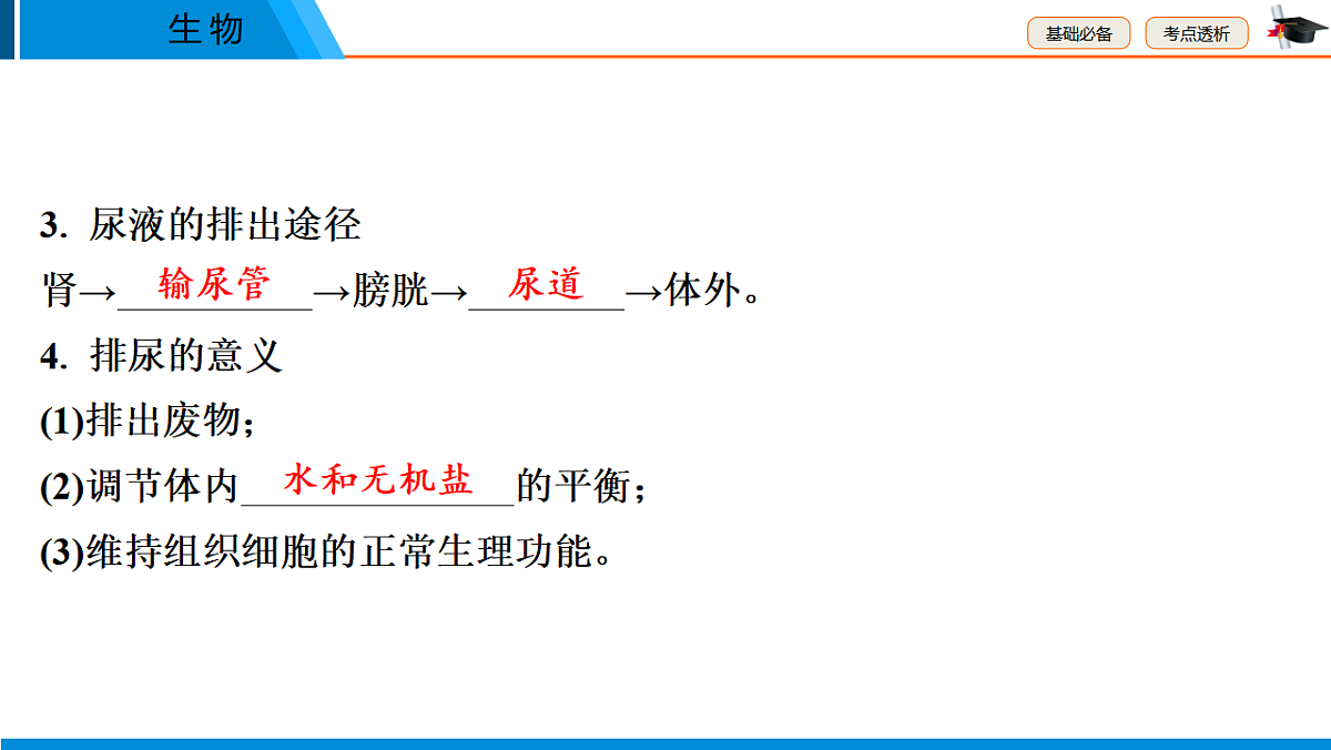 中考生物学一轮专题复习课件(人教版)5.4 人体代谢废物的排出第8页