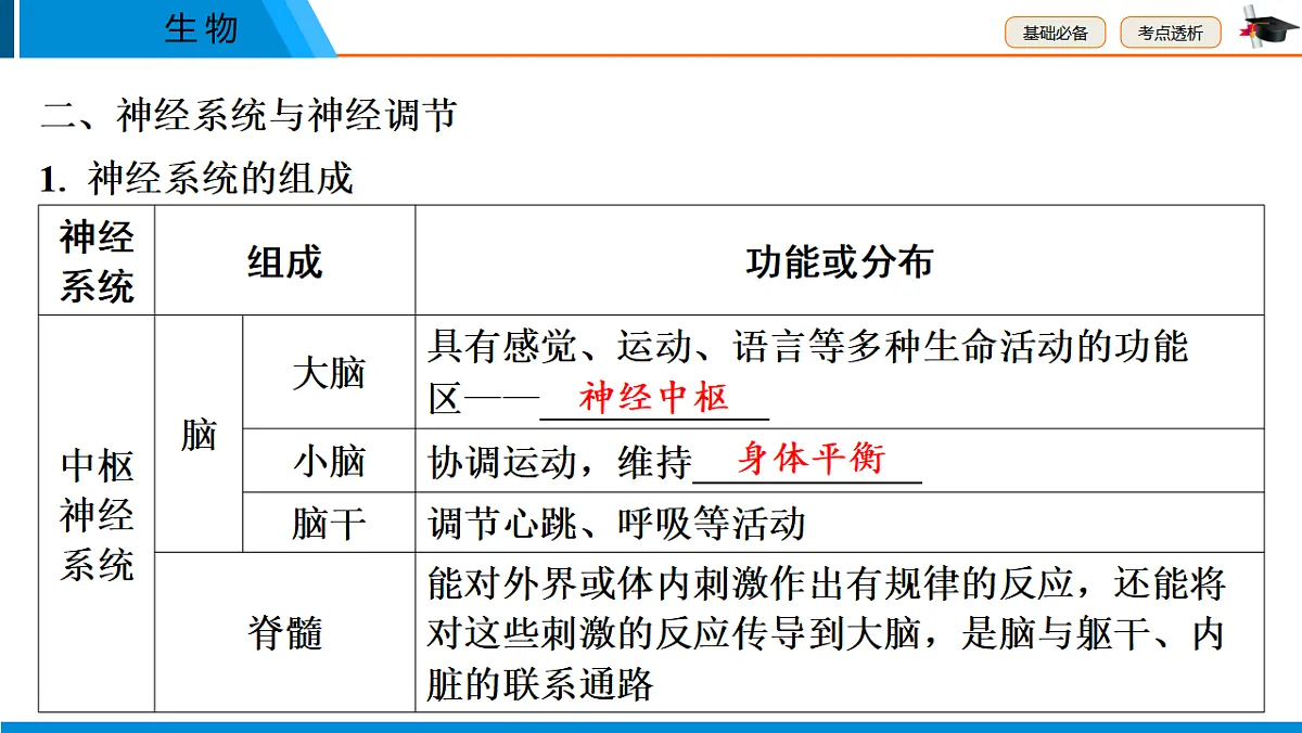 中考生物学一轮专题复习课件(人教版)5.5 人体通过神经系统和内分泌系统调节生命活动、健康地度过青春期第7页