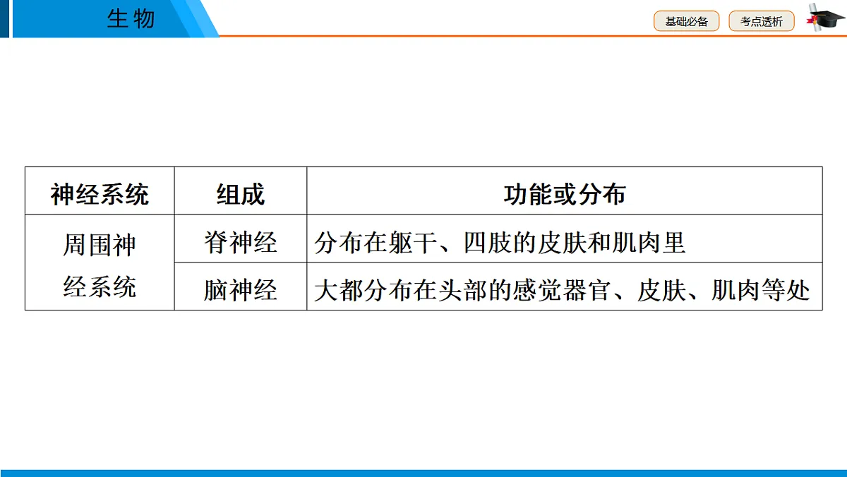 中考生物学一轮专题复习课件(人教版)5.5 人体通过神经系统和内分泌系统调节生命活动、健康地度过青春期第8页