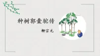 语文人教统编版11 *种树郭橐驼传教学ppt课件
