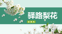 初中语文人教部编版（2024）七年级下册（2024）驿路梨花课文ppt课件