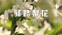 人教部编版（2024）七年级下册（2024）驿路梨花教学演示ppt课件