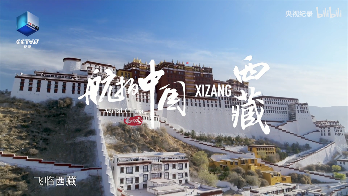 17846316第3页