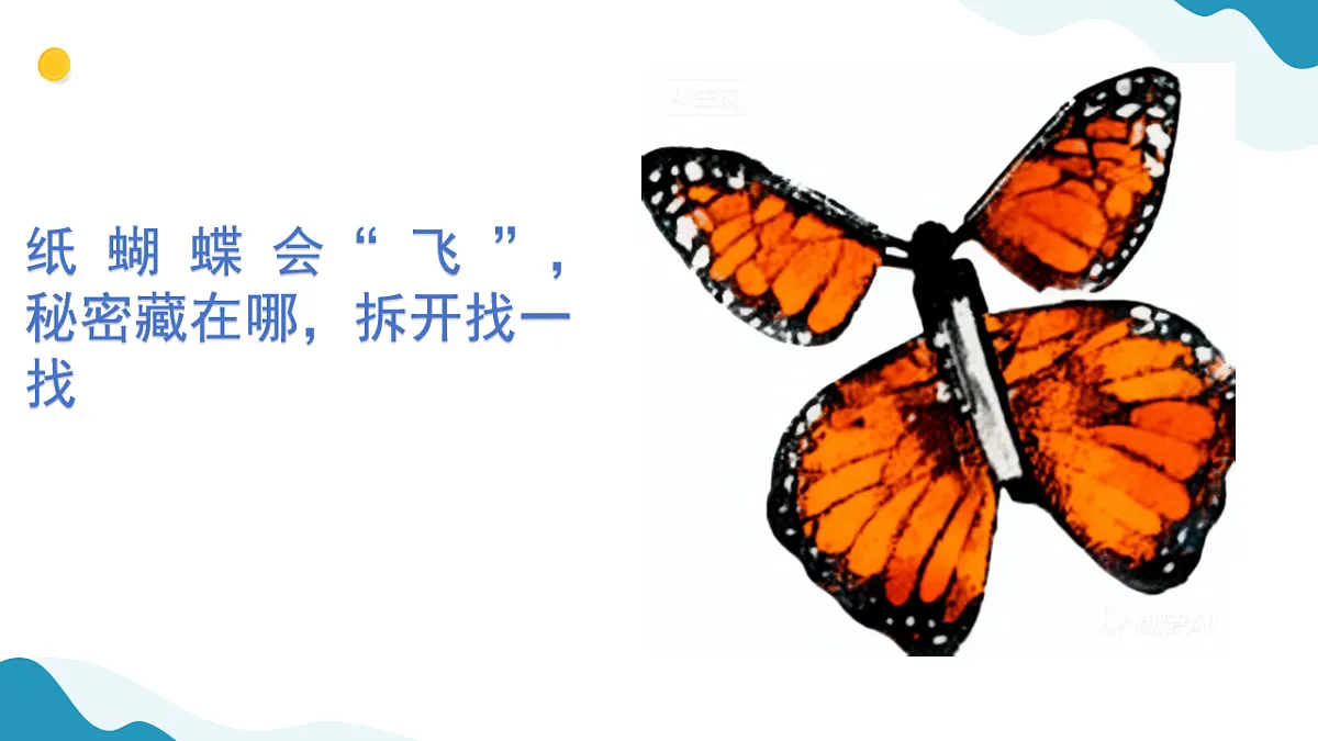 7、蝴蝶飞起来 小学科学 苏教版(2024) 二年级下册 课件第2页