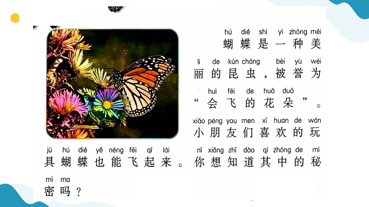 7、蝴蝶飞起来 小学科学 苏教版(2024) 二年级下册 课件第3页