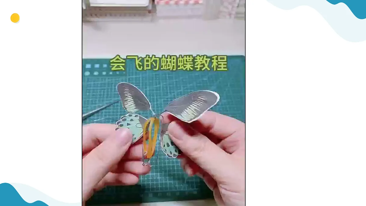 7、蝴蝶飞起来 小学科学 苏教版(2024) 二年级下册 课件第5页