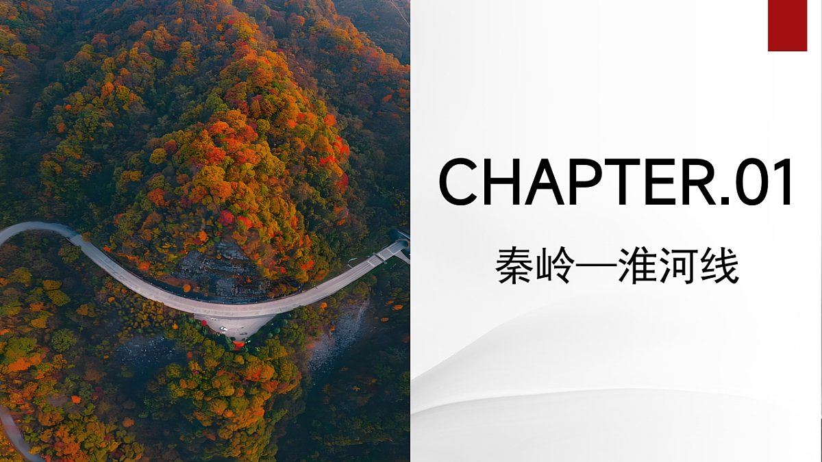 17848002第5页