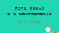 冀少版（2024）八年级上册（2024）第二节 呼吸作用习题ppt课件