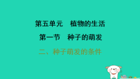 生物冀少版（2024）第五单元 植物的生活第一章 绿色开花植物的一生第一节 种子的萌发二、种子萌发的条件习题ppt课件