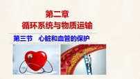 初中生物冀少版(2024)七年级下册(2024)心脏和血管的保护教学课件ppt