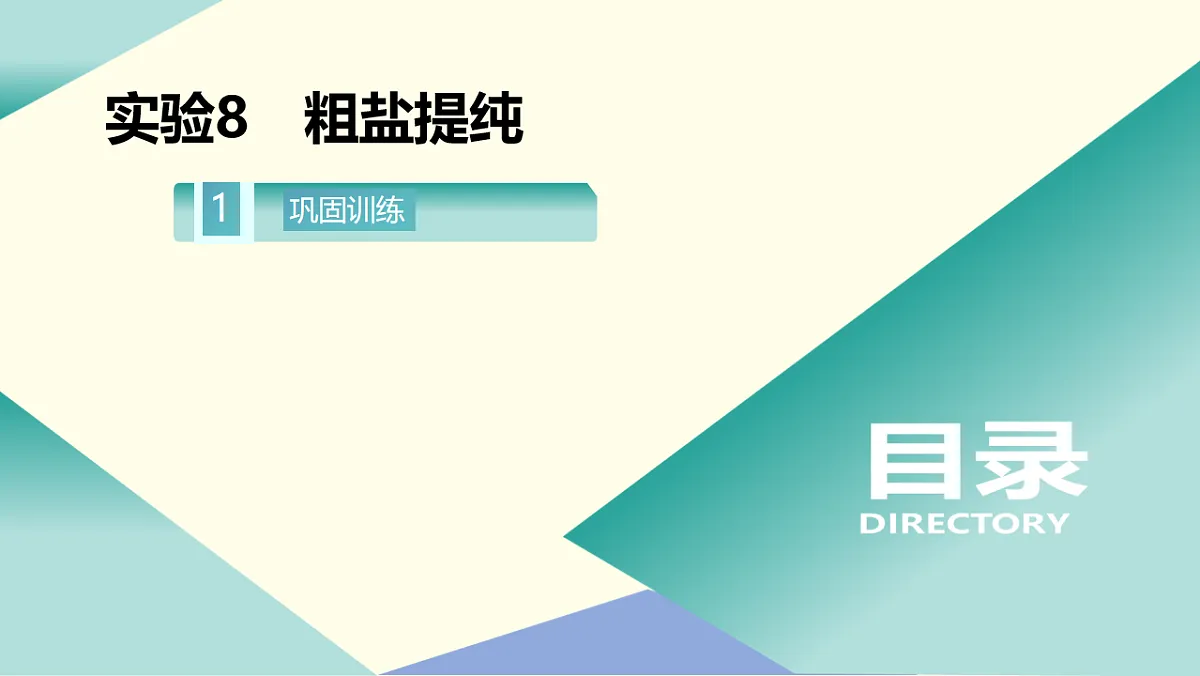 2026年广东省中考化学一轮复习粗盐提纯课件第2页