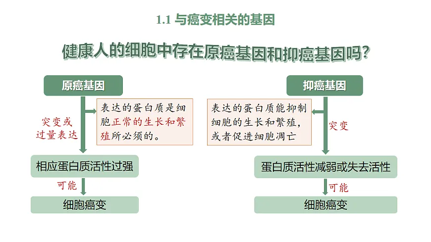 【同步授课课件】人教版高中生物必修二 遗传与进化5.1.2 细胞癌变和基因重组第7页