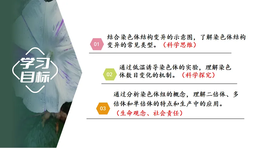 【同步授课课件】人教版高中生物必修二 遗传与进化第五章5.2.1 染色体数目变异第2页