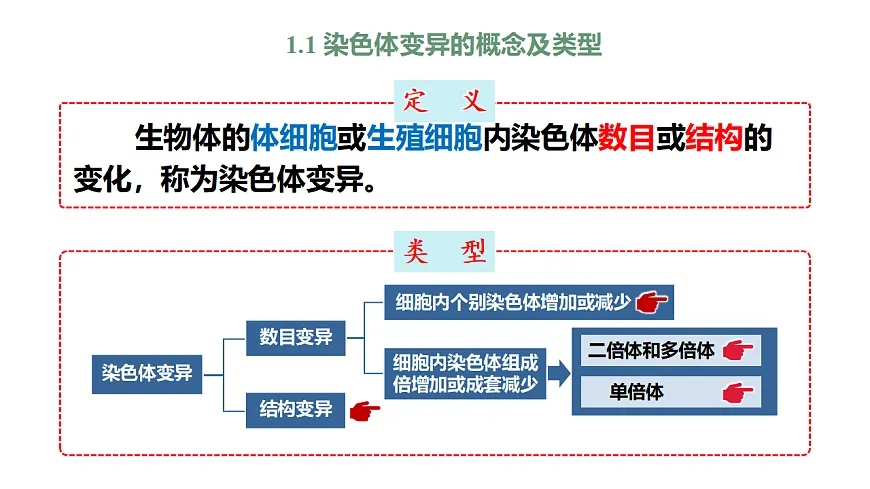 【同步授课课件】人教版高中生物必修二 遗传与进化第五章5.2.1 染色体数目变异第5页