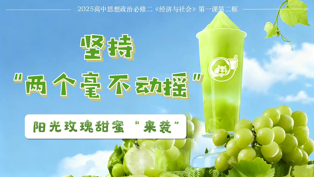 1.2坚持“两个毫不动摇” 课件 统编版高中政治必修二经济与社会第1页