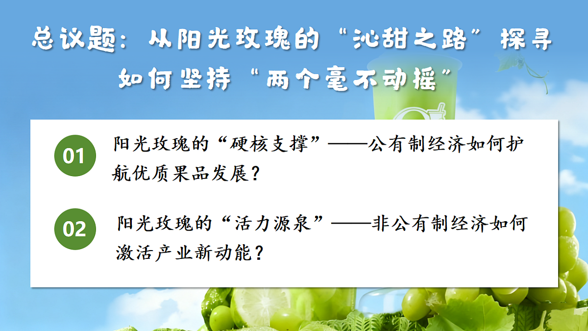 1.2坚持“两个毫不动摇” 课件 统编版高中政治必修二经济与社会第2页