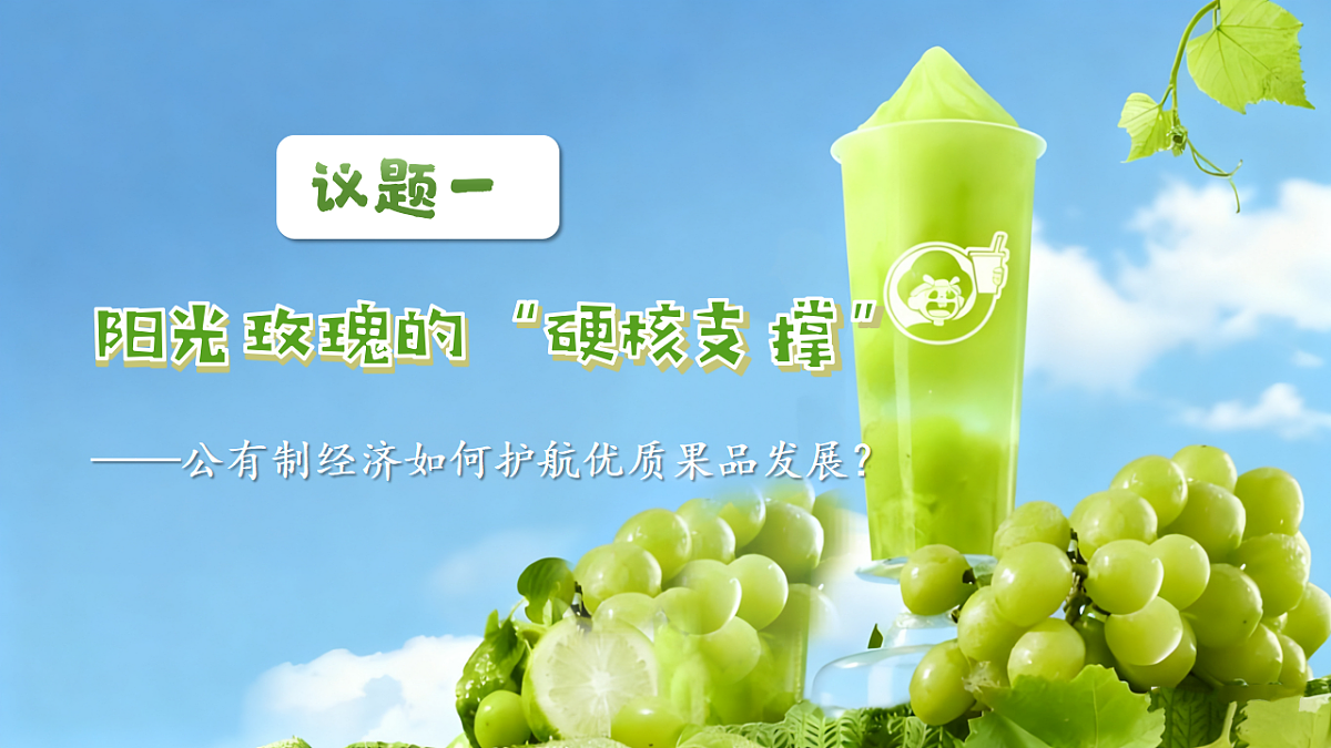1.2坚持“两个毫不动摇” 课件 统编版高中政治必修二经济与社会第3页