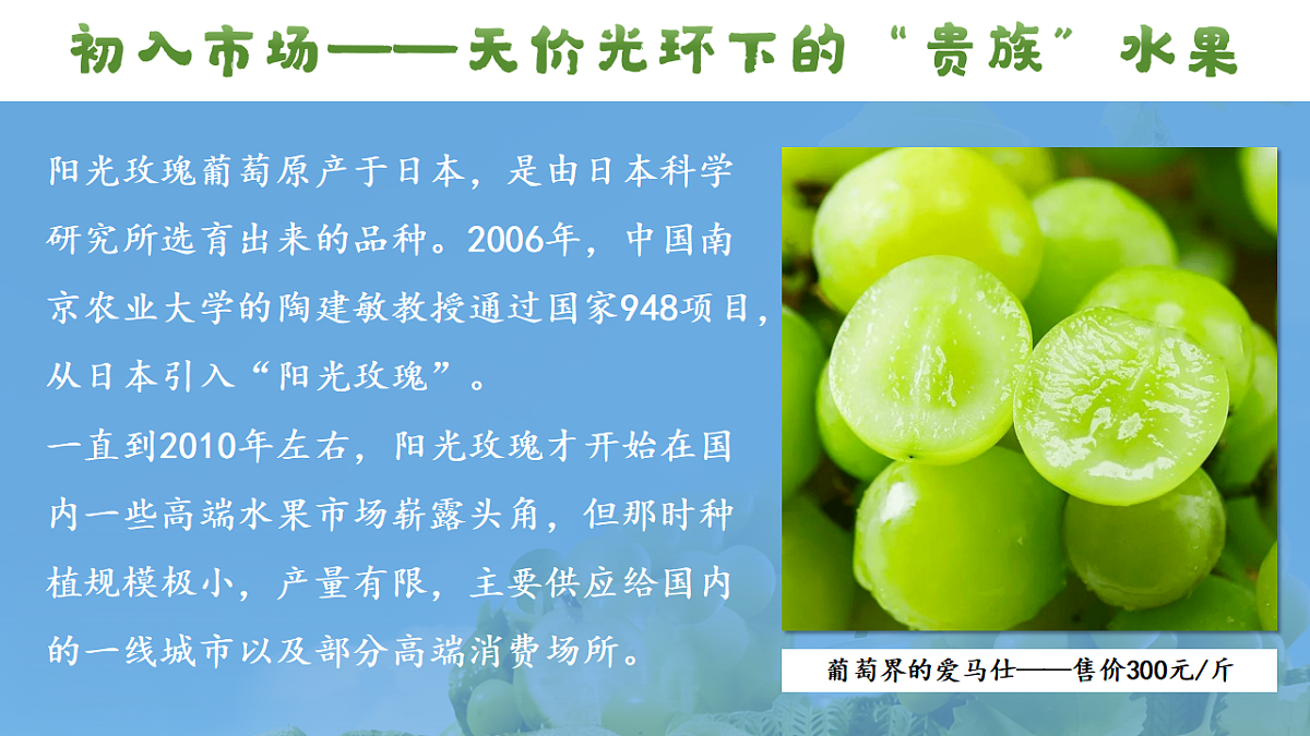 1.2坚持“两个毫不动摇” 课件 统编版高中政治必修二经济与社会第4页