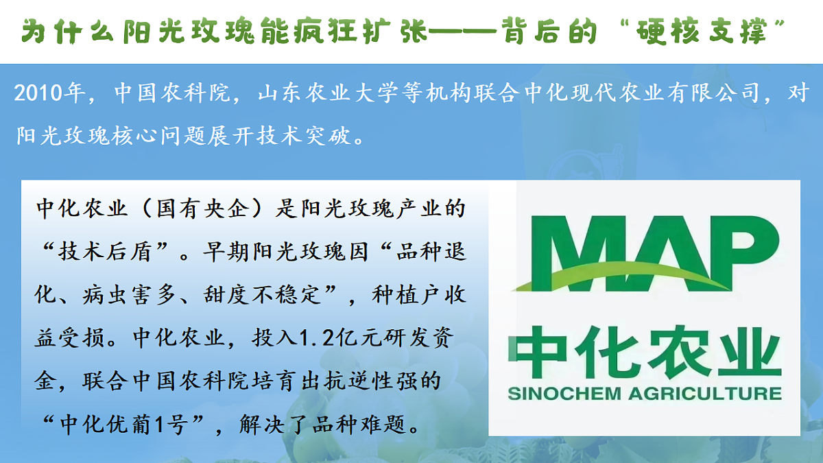 1.2坚持“两个毫不动摇” 课件 统编版高中政治必修二经济与社会第6页