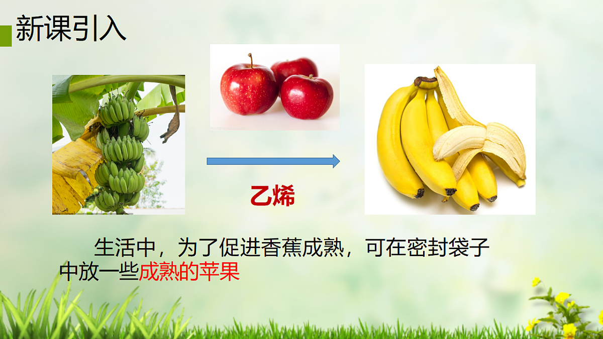 2025-2026学年高一下学期化学人教版必修第二册课件 7.2. 乙烯与有机高分子材料第1课时第3页
