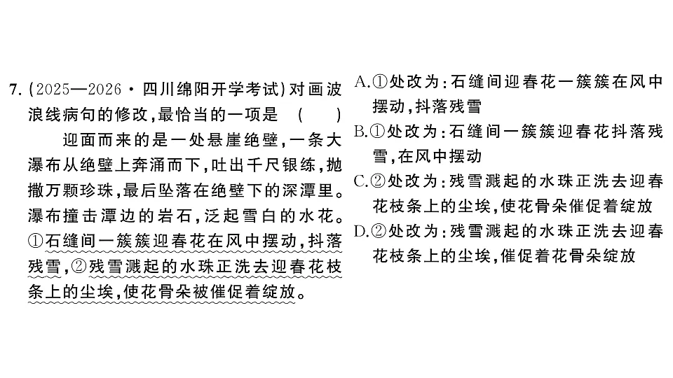 初中语文新部编版八年级下册期末专题三 语法、语病、标点复习作业课件(2026春)(放映显示答案)第8页