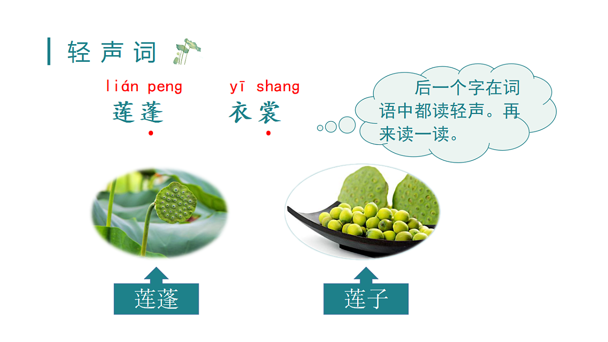 小学语文新部编版三年级下册第一单元3 荷花教学课件(2026春新版)第7页