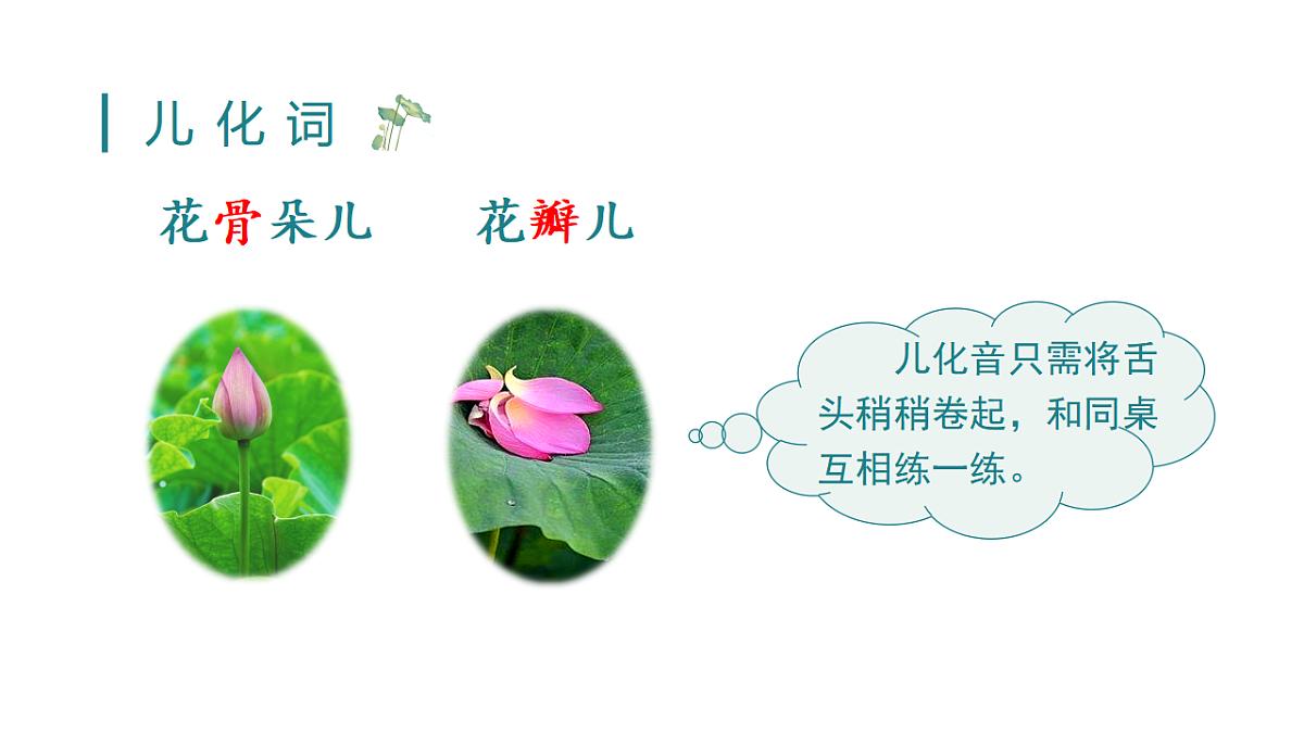 小学语文新部编版三年级下册第一单元3 荷花教学课件(2026春新版)第8页