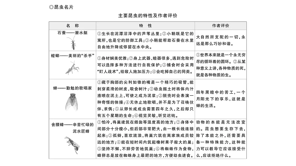 初中语文新部编版八年级下册整本书阅读 《昆虫记》作业课件(2026春)(放映显示答案)第4页