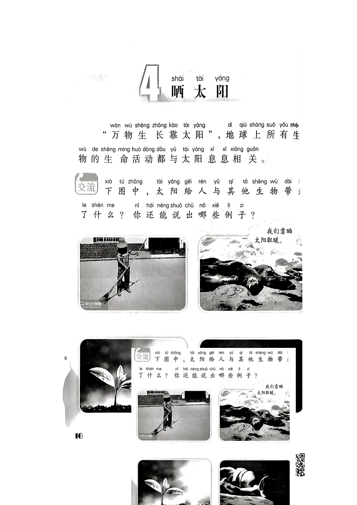 04晒太阳第1页