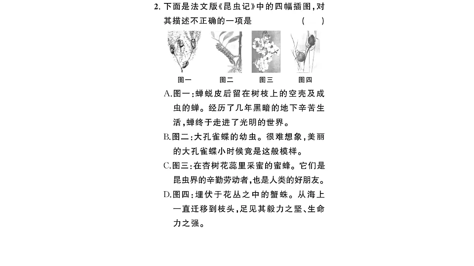 初中语文新部编版八年级下册《昆虫记》阅读计划三:整本书阅读作业课件(2026春)(放映显示答案)第3页