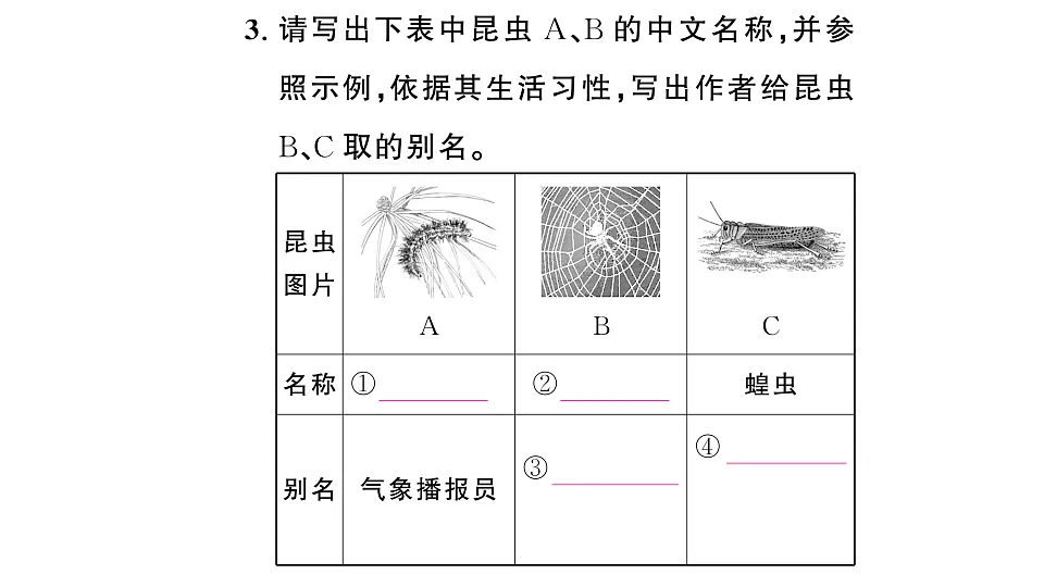 初中语文新部编版八年级下册《昆虫记》阅读计划一:昆虫的习性作业课件(2026春)(放映显示答案)第4页
