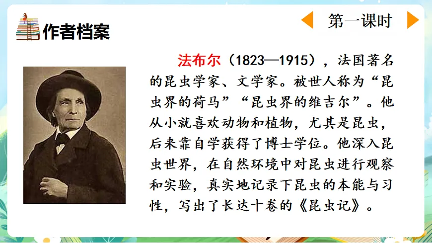 【核心素养】部编版小学语文三年级下册 10 石蜂 课件第5页