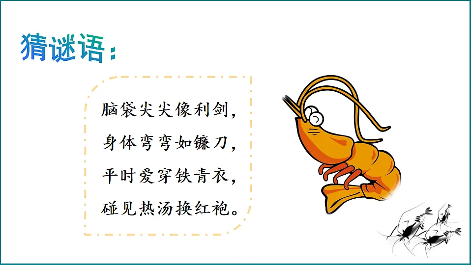 【核心素养】部编版小学语文三年级下册 11 小虾 课件第2页