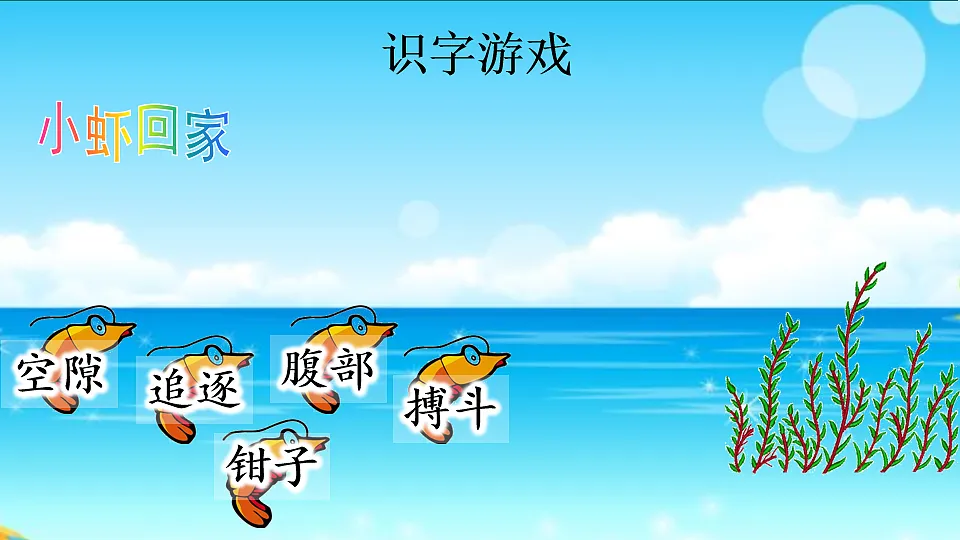【核心素养】部编版小学语文三年级下册 11 小虾 课件第5页
